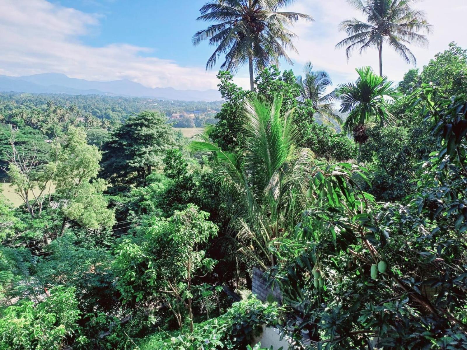 The Traveller Kandy Bagian luar foto