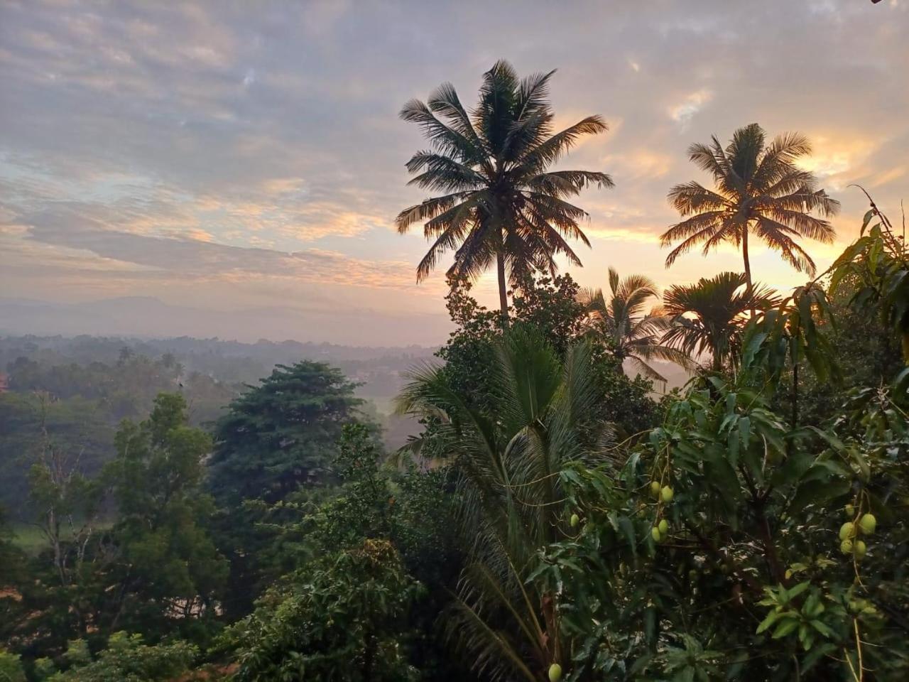 The Traveller Kandy Bagian luar foto