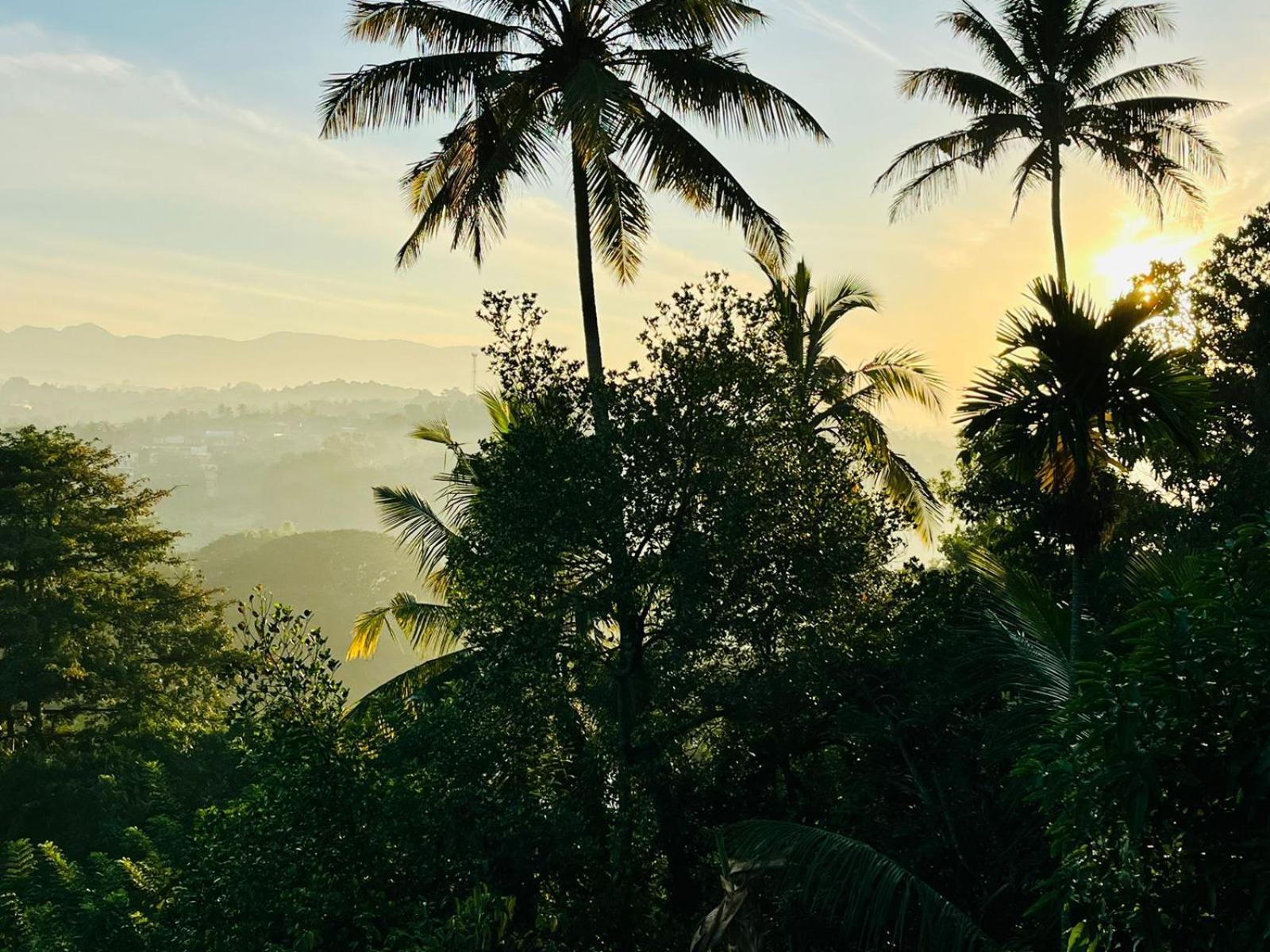 The Traveller Kandy Bagian luar foto